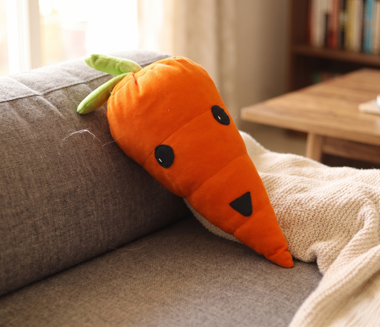 Carro the Happy Carrot